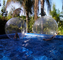 Plezierige Opblaasbare Water het Lopen Ballen/Menselijke Opblaasbare Hamsterbal leverancier