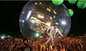Buiten Opblaasbare de Hamsterballen van Meervolwassenen voor de Dansersbal van het Mensenwater leverancier